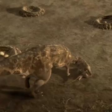 《猎龙之征手游》：征战巨龙，争夺王座，华丽史诗冒险，挑战你的勇气与智慧！