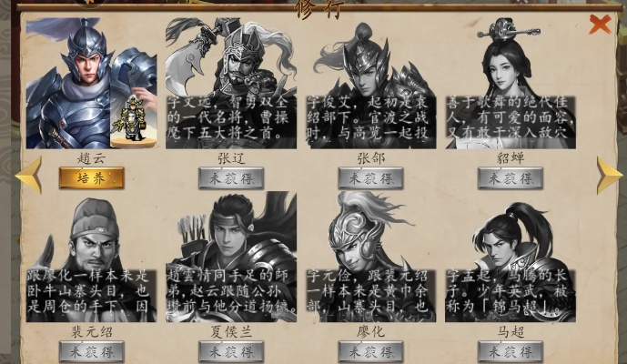 《赵云传纵横天下》全方位游戏攻略流程解析：步步为营，过关斩将