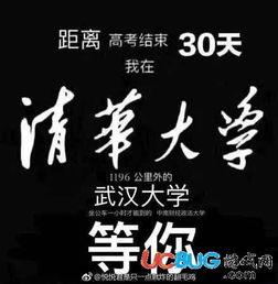 网络热词揭秘：'割草'究竟是什么意思？揭露它在网络言论中的隐含含义和使用场景
