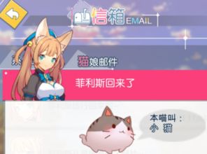 (猫灵相册好玩吗)猫灵相册停服原因解析：用户反馈、市场变化与未来展望探讨
