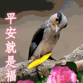 (我出门了表情)潮流必备！我出去了表情包，让你的留言更有趣！