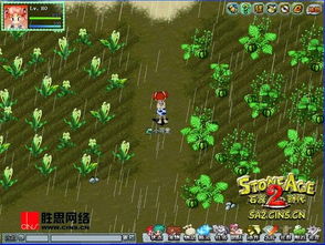 (木灵宝贝第一季全集)木灵宝贝第一季：探索神秘森林，驯养精灵伙伴的奇幻冒险之旅