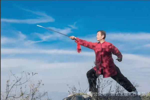 (罗征武当太极剑视频)揭秘罗征49式武当太极剑的神秘绝技与传承
