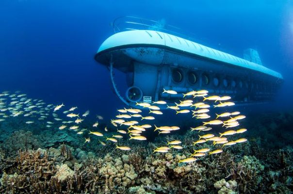 (海底世界的潜水)探秘神秘海底世界：潜水艇介绍视频全方位解读