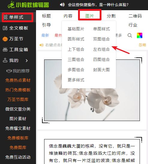 当然可以！这里有一个标题的建议：