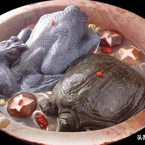 项羽ol：秦朝霸主与楚国英雄的较量，一个让人叹为观止的古代传奇故事