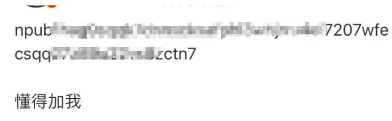 (小富婆什么意思)揭秘小富婆的隐藏代码：背后的真正暗语是什么？