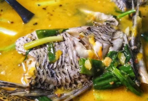探索江个湖的最佳攻略：景点推荐、美食宝典与游客注意事项全解析