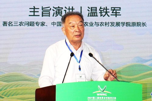 在村长梁大众与薛婷的带领下，探索乡村振兴中的点滴变化与收获