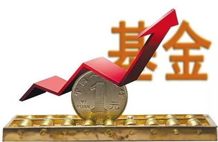 (怎么区分真假锻造)探讨真假之间：究竟锻造与冒险哪个才是正宗的体验?