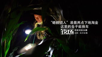 (夜听蟋蟀声)深夜如歌：细听蟋蟀的优美乐章