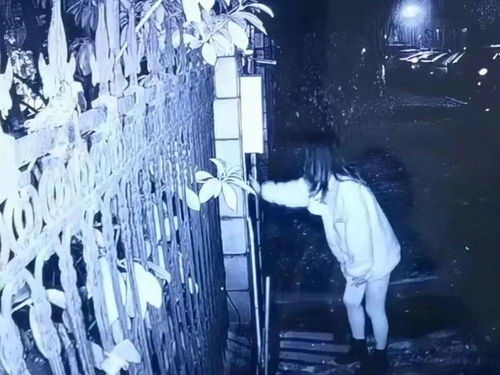 (被囚禁的女孩免费阅读番外阅读)被囚禁的掌心：失去自由的人——一位女囚禁者的故事
