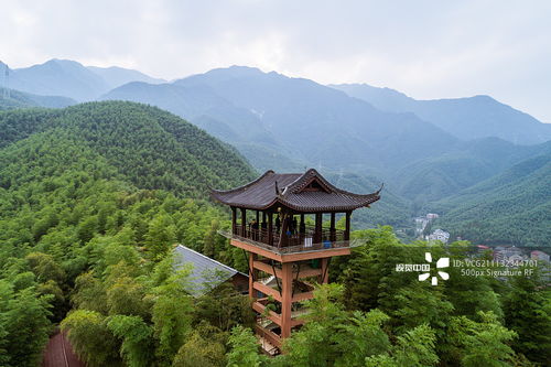 欣赏自然之美，领略人文韵味——逍遥八仙湖景区人机合一智能导览系统全新升级