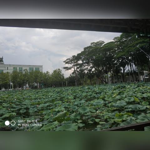 (天津蓝天卫士)蓝天卫士官网登录：保护你的蓝天，呵护你的安全！