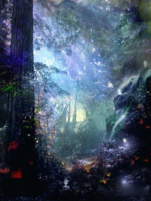 (魔法密林生命之林)探寻梦幻魔法森林中的神秘精灵世界--珍贵命树与秘藏力量