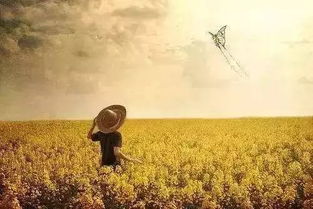 探索无限可能，千亿星辰皆无法比拟，唯有你的光芒照亮我的人生