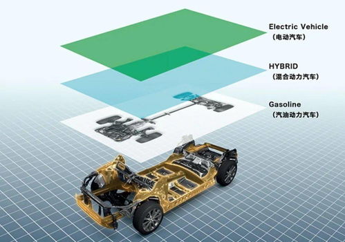 (迪纳拉型)2040迪纳拉最建议买的三样东西，未来必备物品推荐