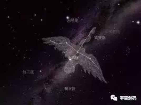 (凤凰座星系)凤凰座A和SDSS哪个恒星质量更大？拓展研究揭秘宇宙中的耀眼之星