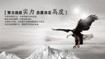 (重生后她不再愚蠢)她重生后，不再走向往昔的误区，攀登新高峰。