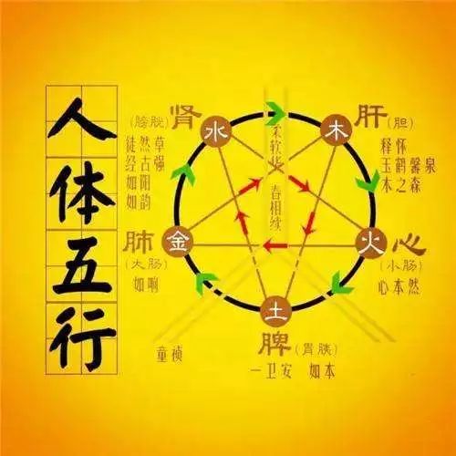 (获得三千大道法则)探寻三千大道之生命法则：寻找生命智慧的奥秘