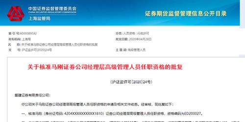 发现网金攻略网站：探索金融投资新境界的终极指南和策略分享平台!