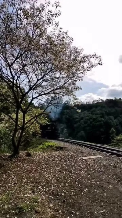 当火车鸣笛三秒，讲述了沿途风景，铁轨上的人生和一段离别的故事