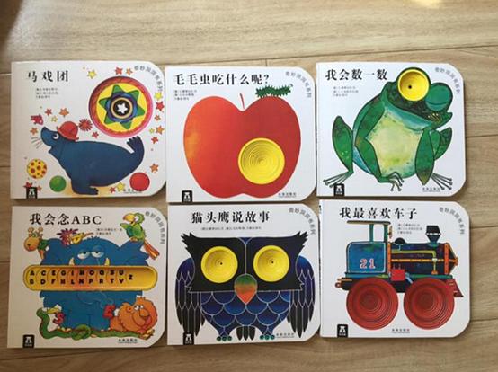 在画满鹅卵石的本子上绘制的绘本叫做《鹅卵石之书：灵感的涟漪》。