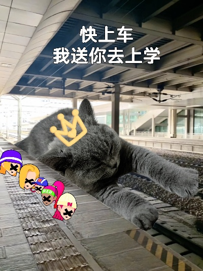 (猫 火车 表情包)寻找猫猫列车的秘密基地：探访全国各地的猫猫列车位置和特点
