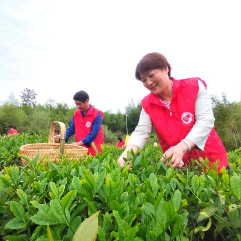 (凌云诺最新版本)凌云诺敏捷多少合适？如何确定项目规模和团队资源配置？