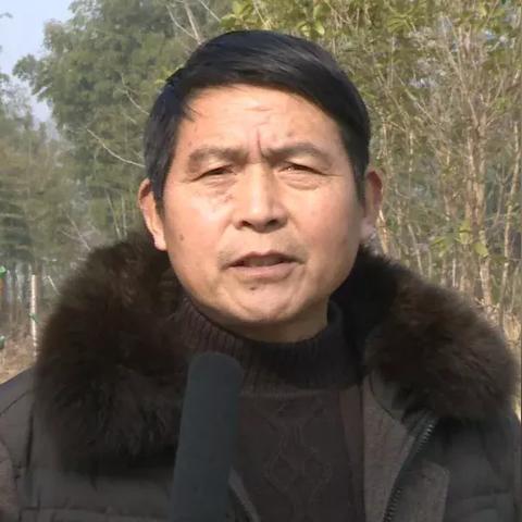 深度解析《仙人之上》剧组演员表：聚焦主创阵容层次构建与角色性格塑造