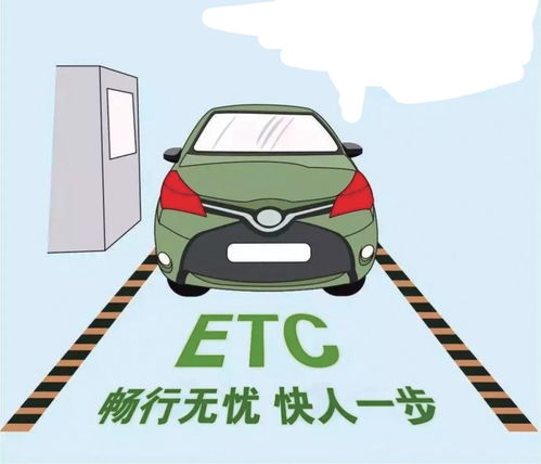 《猫之宿约者》为何在各大平台下架？背后原因及其影响深度分析