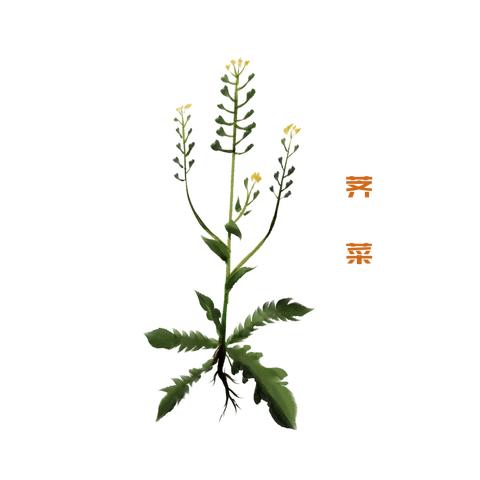 (葫芦兄弟无限金币无限钻石版)如何正确安装并享受葫芦兄弟游戏的无尽乐趣？