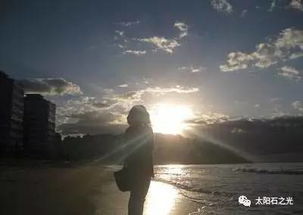 (晴空下的幸福)在晴空之下：追寻梦想与希望的心灵旅程