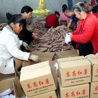 掌握最佳策略：为你详解小小村长中平民角色的最强阵容推荐及其背后的秘密
