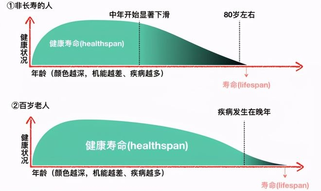 细胞成长记录：探索细胞生命周期与发展轨迹，解码生命奥秘与健康密码。