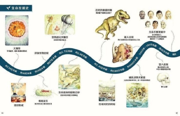 细胞成长记录：探索细胞生命周期与发展轨迹，解码生命奥秘与健康密码。