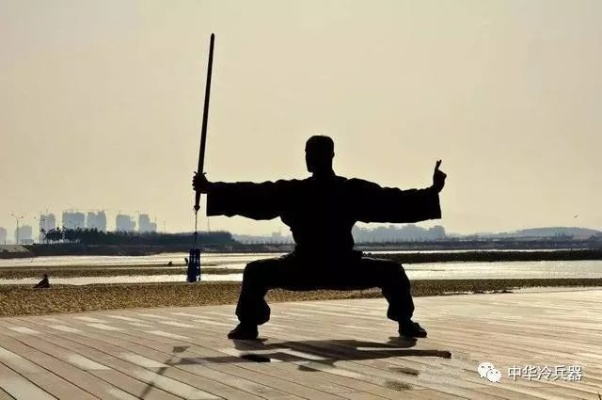 (传统武术剑法)剑刃风华：国家认可的正统武术传承