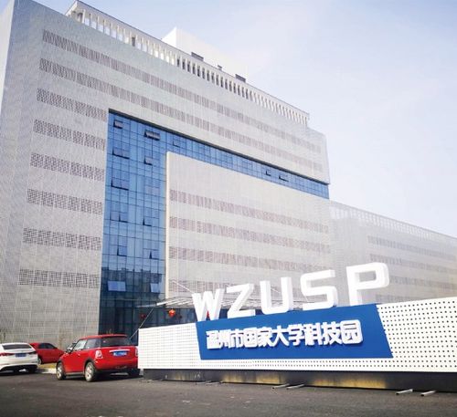 (方寸战争下载)探讨策略与考验智慧的方寸战争游戏带来的挑战与乐趣
