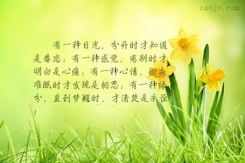 (形容对配偶失望和心凉的诗词)在爱情里迷失，对配偶失望心寒的诗句
