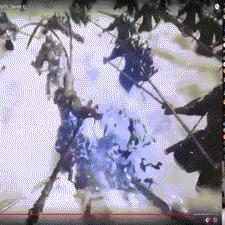 黑神话悟空电脑配置：揭秘后起之秀的高性能装备，专为游戏玩家打造