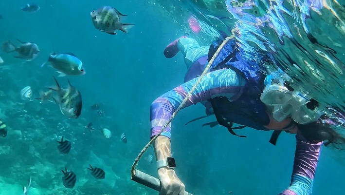 探索无尽的海洋世界：蔚蓝进阶技巧教学，让你游刃有余征服深海