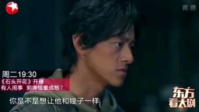 (代号龙小说)揭秘代号黑龙电视剧：剧情、演员、制作等详情揭秘