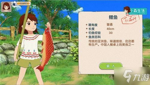 我的钓鱼生活攻略：分享经验技巧，探索钓鱼乐趣，打造专属钓鱼之旅