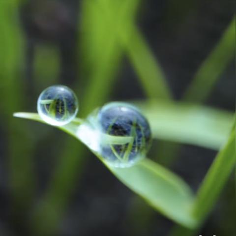 揭秘十二刻度的月计时(月之里侧)，探寻月亮神秘的能量和象征意义