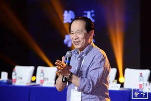 (天地鉴常石磊百度云)天地鉴：揭示常石磊在艺术与哲学交汇处的独特视角与思想