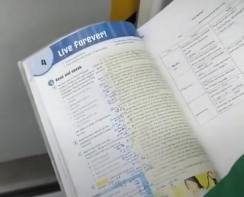 探索心灵的旅程：如何通过治愈日记英文记录与释放内心的情感与压力