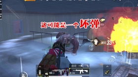 迷你枪战精英李梦圆：勇闯战场的传奇少年与团队合作的精彩故事