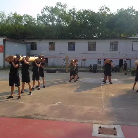 使命召唤手游使命手册：探索全新游戏世界，挑战极限，备战大战