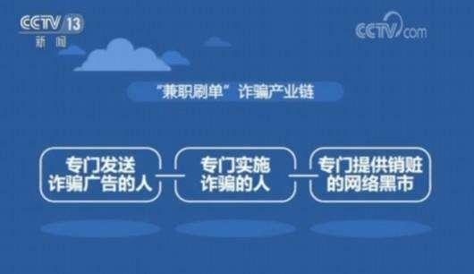 网络疯传'代号七海'关闭，实情究竟如何？揭秘其背后的运营真相