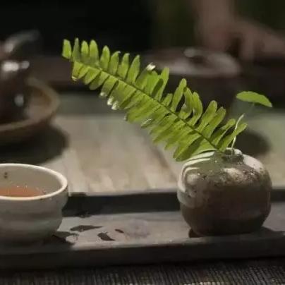 探讨境界魂之觉醒下架的原因：是否与版权问题或内容涉及敏感信息有关？